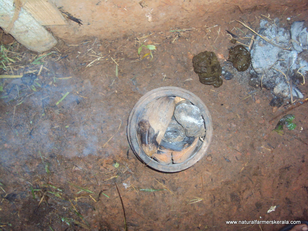 dried cow dung and burning coconut husk