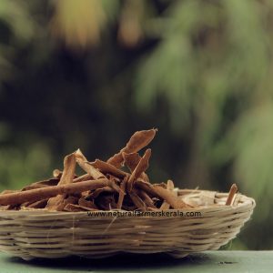 Ceylon Cinnamon Sticks - True Cinnamon