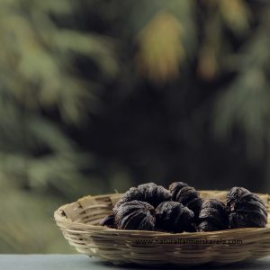 buy garcinia cambogia