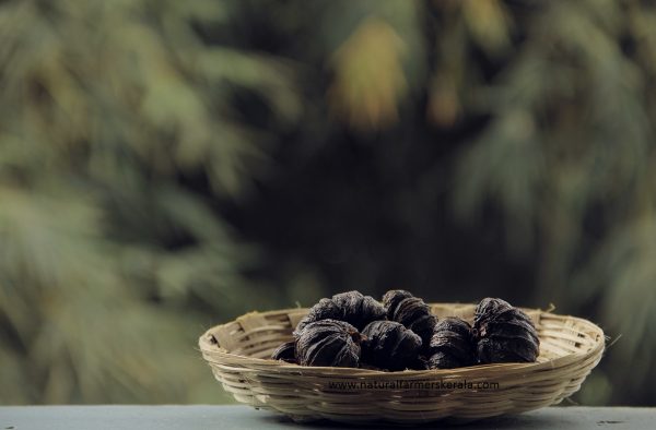 buy garcinia cambogia