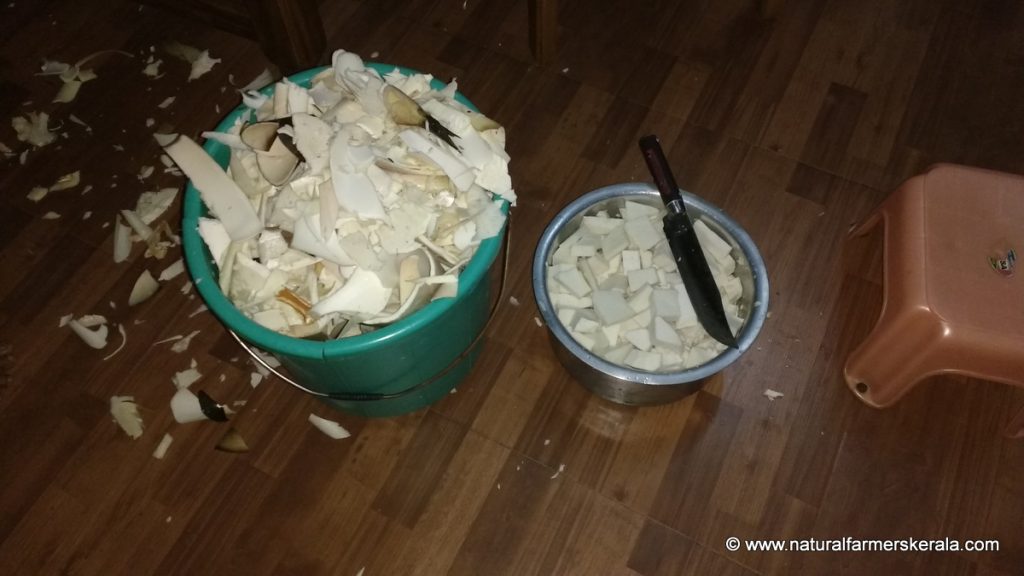 Cut bamboo shoot in small pieces