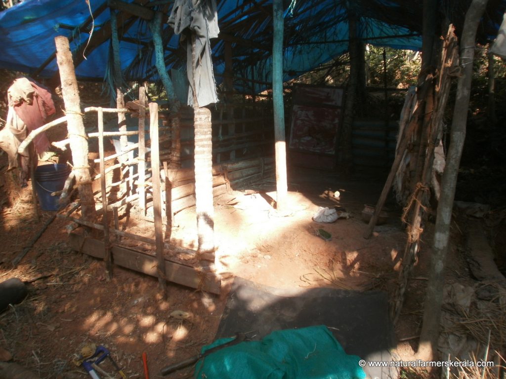 Cow shed natural material