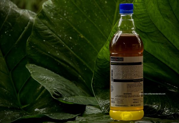 kerala Pure and natura honey