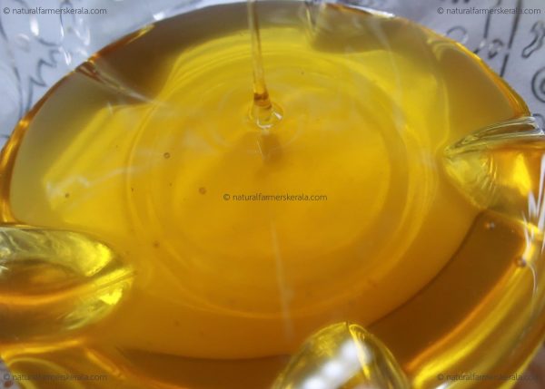 Unprocessed Kerala Forest Honey