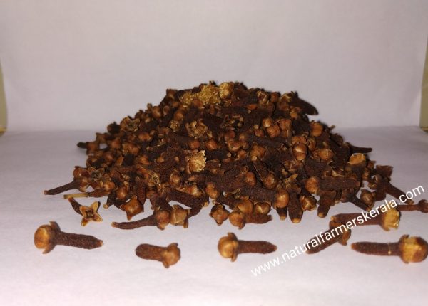 whole dried natural cloves from kerala