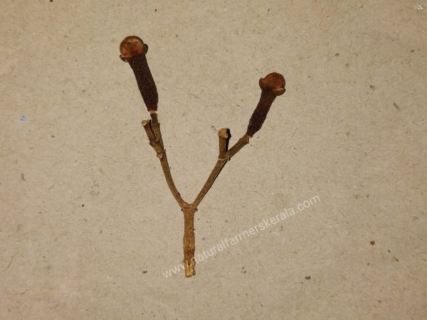 cloves dried with the stems